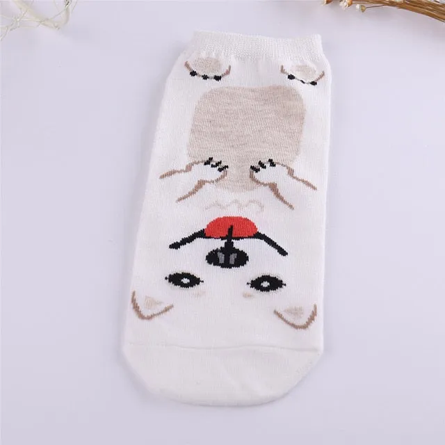 Dog Ankle Socks Women, Animal,  Friend, Pug, Corgi, Rottweiler, Schnauzer, Samoyed Dog, Pet SOX for Elder Children or Adult, unisex sokken